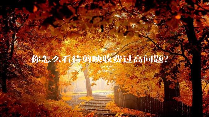 你怎么看待剪映收费过高问题？