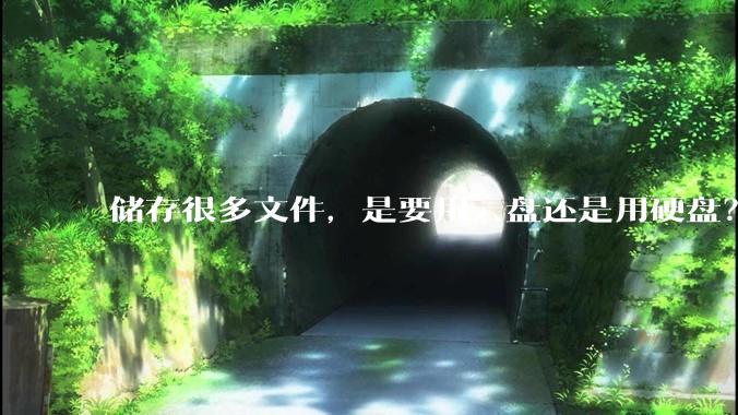 储存很多文件，是要用云盘还是用硬盘？