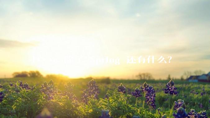 J***a 除了 Spring 还有什么？