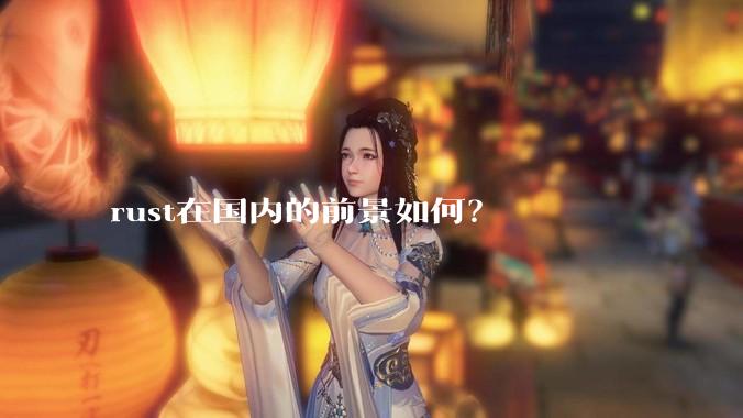 rust在国内的前景如何？